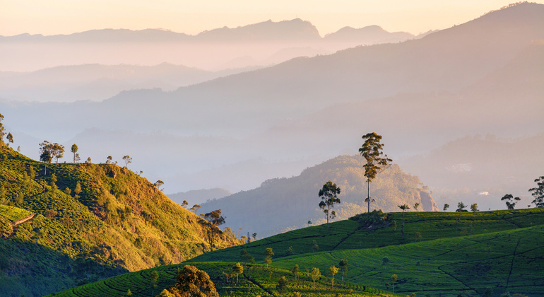 Destaques das terras altas de Kandy