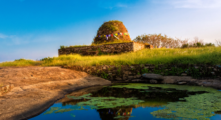 Excursão de um dia a Panduwasnuwara e Yapahuwa a partir de Kandy Sri Lanka — #2