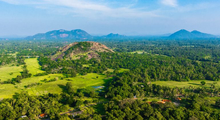 Excursão de um dia a Panduwasnuwara e Yapahuwa a partir de Kandy Sri Lanka — #5