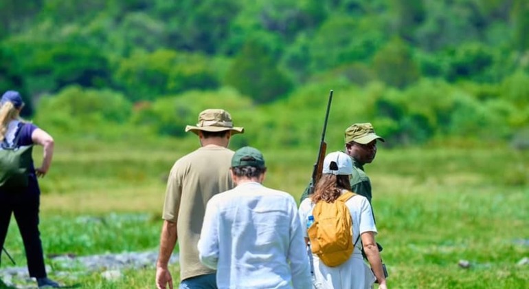Visite du parc d'Arusha : Exploration de la nature Tanzanie — #2