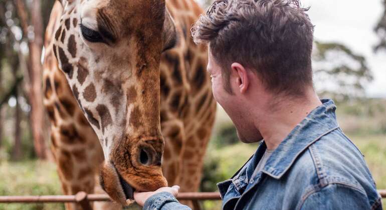 Maasai Village & Giraffe Center Experience Kenya &mdash; #4