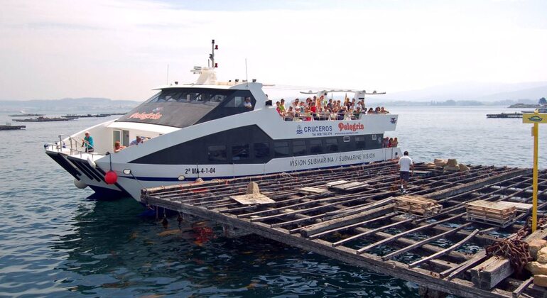 Rías Baixas: esperienza sensoriale in barca e in cantina Spagna — #2