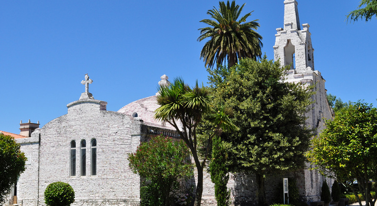 Rías Baixas: esperienza sensoriale in barca e in cantina Spagna — #3