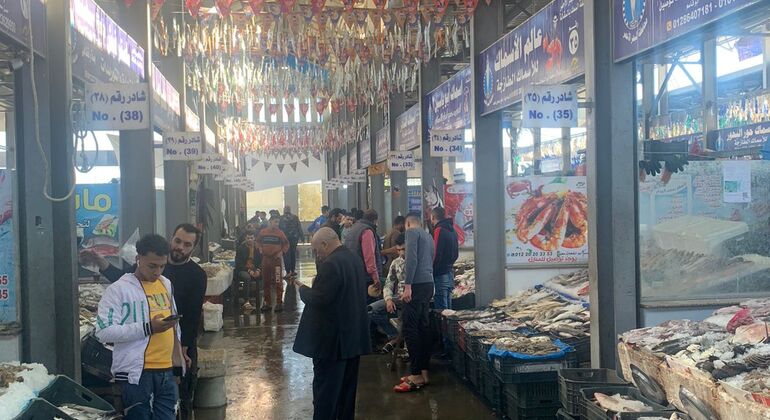 Descubra Hurghada com um toque local Egito — #2