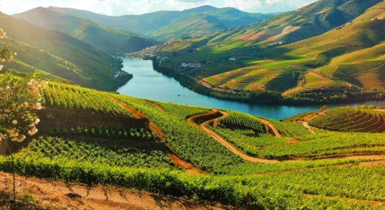 Entdecken Sie die Schönheit von Portugals Douro-Tal Portugal — #4