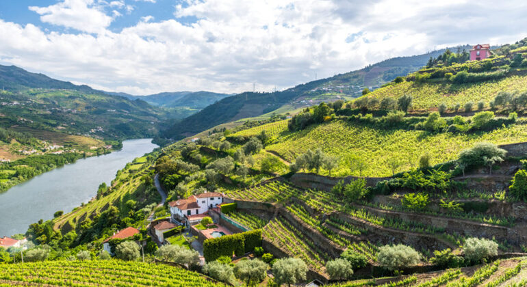 Entdecken Sie die Schönheit von Portugals Douro-Tal Portugal — #5
