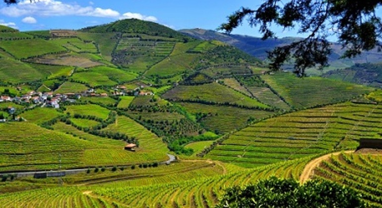 Entdecken Sie die Schönheit von Portugals Douro-Tal Portugal — #7