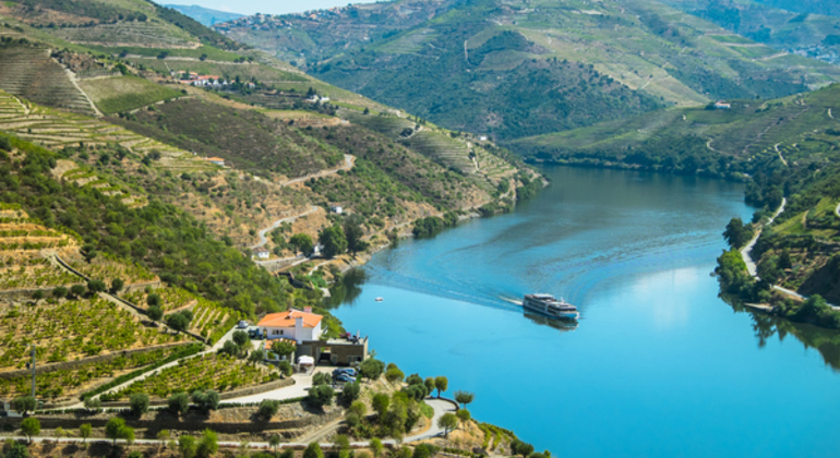 Entdecken Sie die Schönheit von Portugals Douro-Tal Portugal — #9
