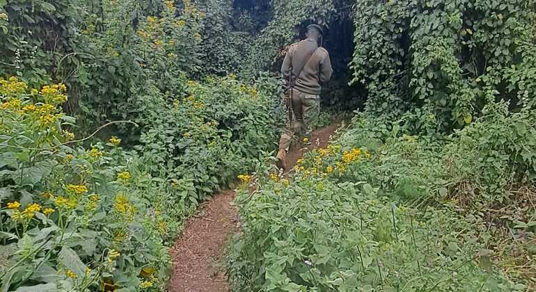 Conquistare le vette: Un'escursione attraverso le colline Ngong da Nairobi Kenya — #12