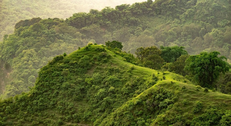 Conquistare le vette: Un'escursione attraverso le colline Ngong da Nairobi Kenya — #2