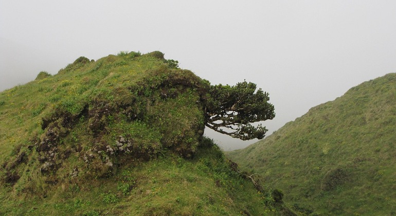 Conquistare le vette: Un'escursione attraverso le colline Ngong da Nairobi Kenya — #4