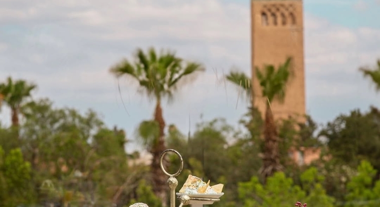 the-mystical-sights-of-marrakech-unveiled-en-10