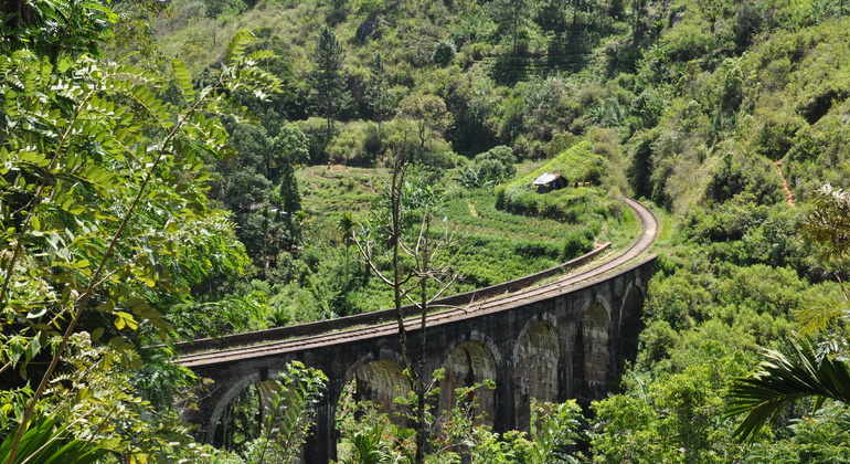 Little Adam's Peak und Nine Arches Bridge Wandern