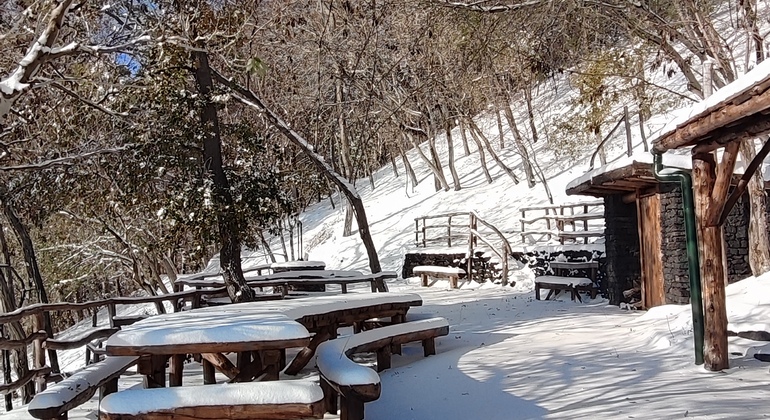 Wild Adventure on Mount Etna in Catania Italy &mdash; #12