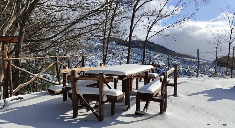 Wild Adventure on Mount Etna in Catania Italy &mdash; #14