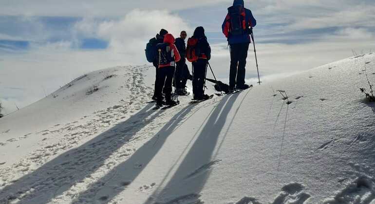 wild-adventure-on-mount-etna-es-28