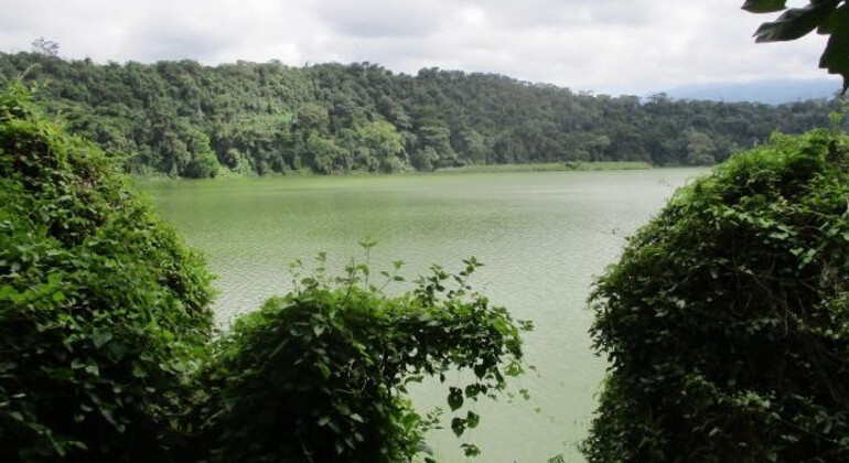 Explore the Lake Duluti Tanzania — #2