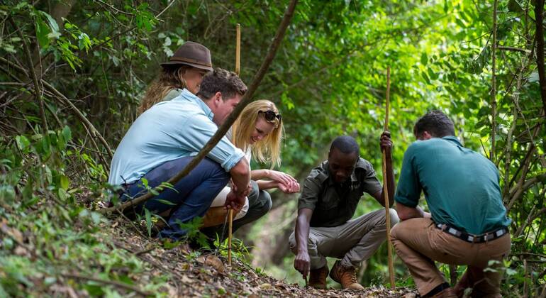 Explore the Lake Duluti Tanzania — #4