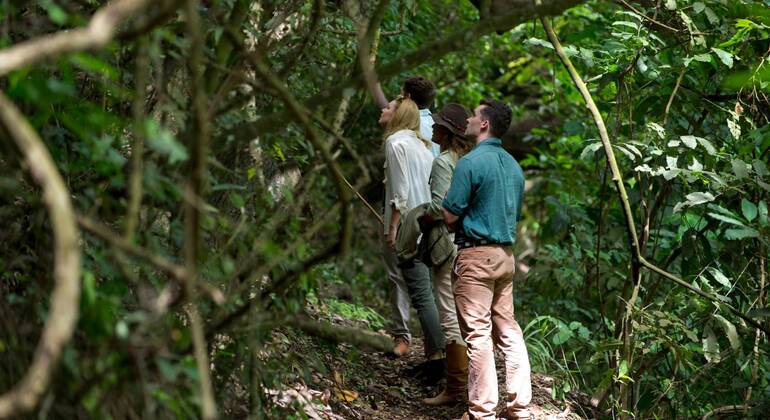 Explore the Lake Duluti Tanzania — #5