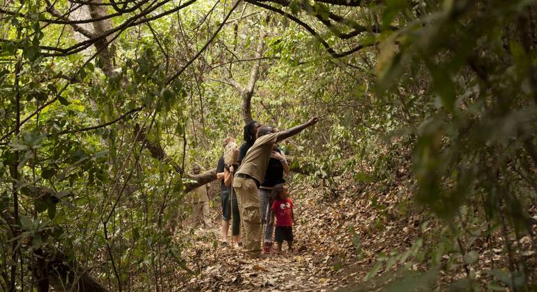 Explore the Lake Duluti Tanzania — #6