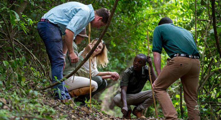 Explore the Lake Duluti Tanzania — #7