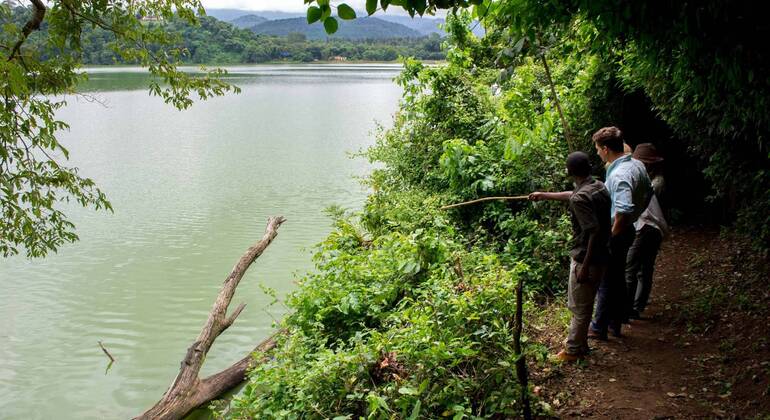 Explore the Lake Duluti Tanzania — #8