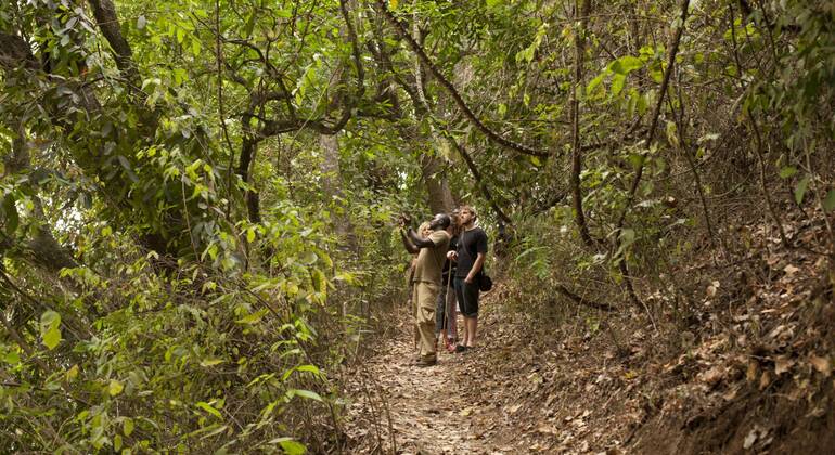 Explore the Lake Duluti Tanzania — #11