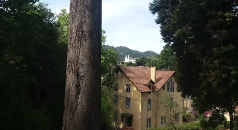 free-tour-secret-treasures-of-sintra-en-3