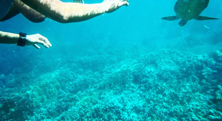 Zanzibar Beach and Dive Adventure Tanzania — #3