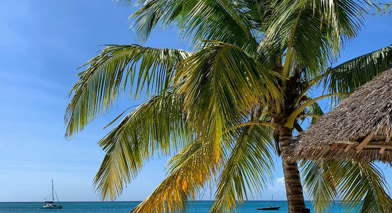 Zanzibar Beach and Dive Adventure Tanzania — #4