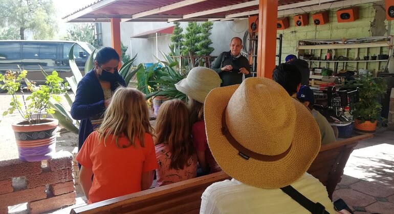 Tour delle piramidi di Teotihuacan Messico &mdash; #15