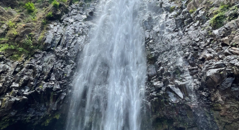 Materuni-Wasserfälle und Kaffee-Erlebnis Tansania — #2