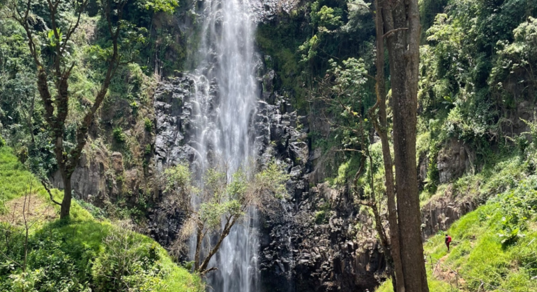 Materuni-Wasserfälle und Kaffee-Erlebnis Tansania — #3