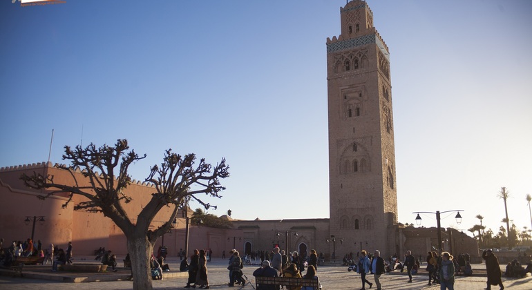 Visite d'une demi-journée des principaux sites touristiques de Marrakech Maroc &mdash; #13