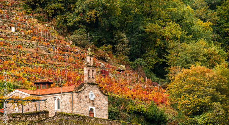descubre-ribeira-sacra-sarria-entre-vinedos-historia-es-1