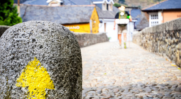 descubre-ribeira-sacra-sarria-entre-vinedos-historia-es-2