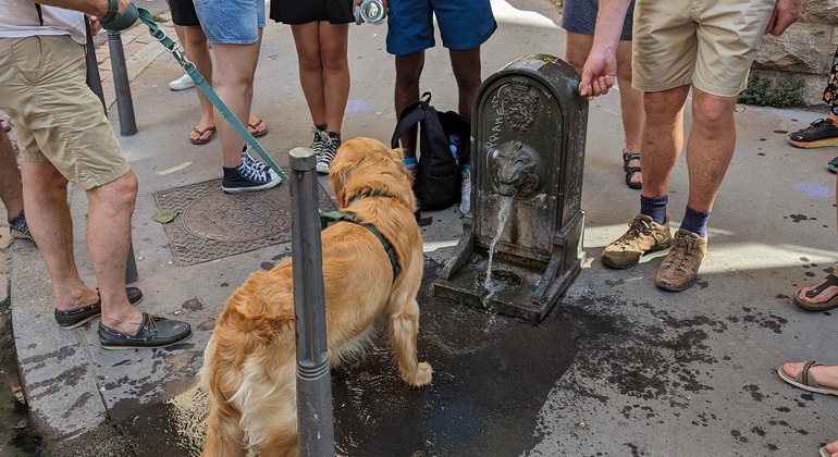 croix-rousse-walk-discover-art-history-flavors-es-21