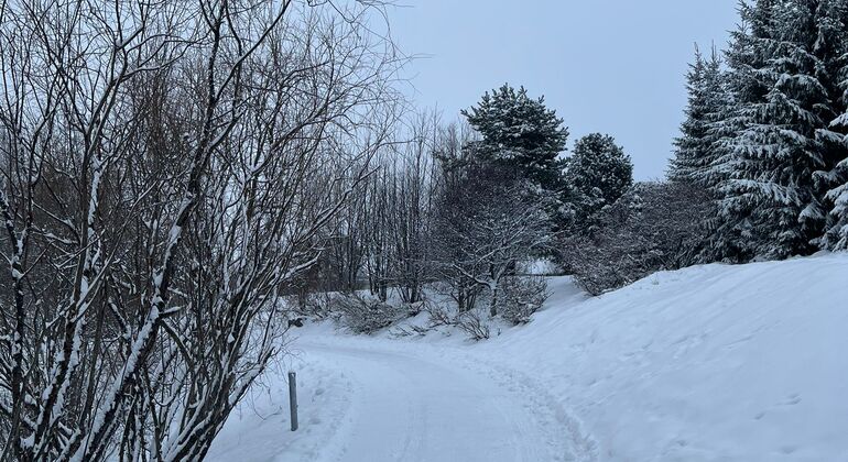 rovaniemi-three-bridges-walk-es-7