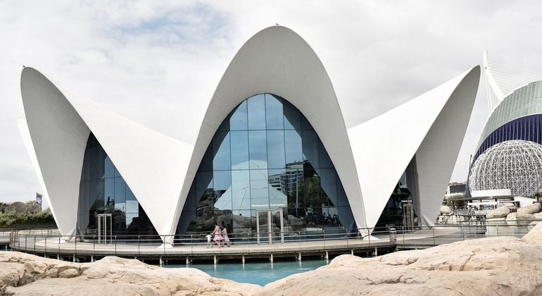 free-tour-por-la-valencia-de-artes-ciencias-es-2