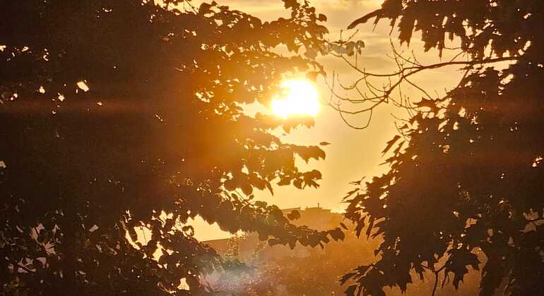 Atardecer Mágico por Puentes y Bares de Ámsterdam Países Bajos &mdash; #6