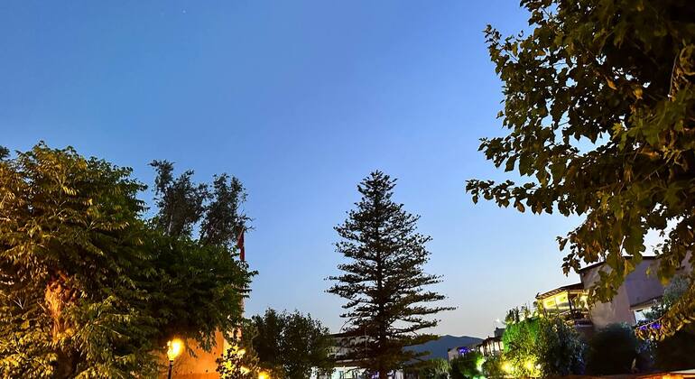 Affordable Day Trip from Fez to Chefchaouen Morocco — #8