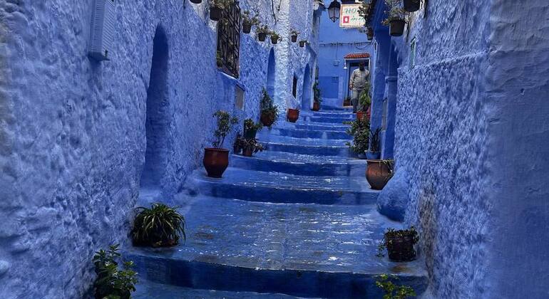 Affordable Day Trip from Fez to Chefchaouen Morocco — #11