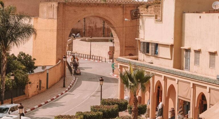 Explore las Ruinas Romanas y las Ciudades Imperiales desde Fez Marruecos — #6