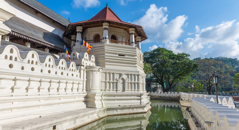 Excursion privée d'une journée à Kandy au départ de Colombo