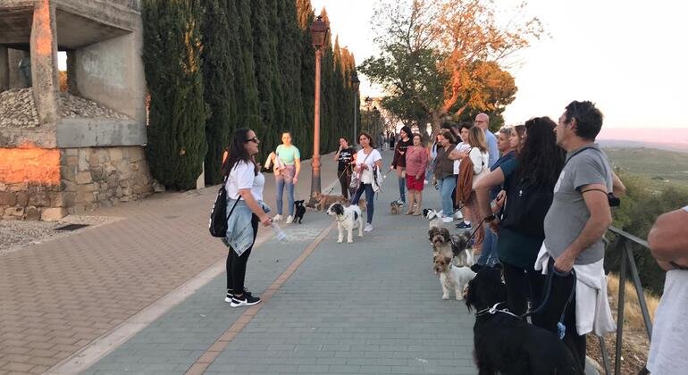 free-tour-descubre-la-esencia-de-baeza-es-1