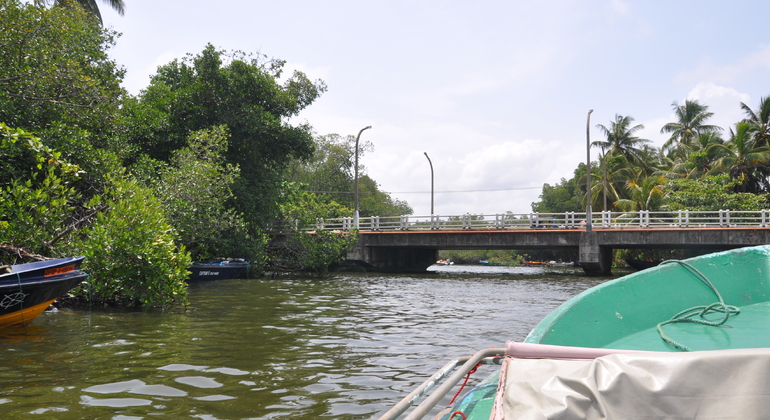 Explorar Bentota Excursão privada a partir de Colombo Sri Lanka — #2