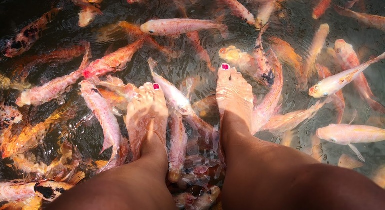 Explorar Bentota Excursão privada a partir de Colombo Sri Lanka — #4