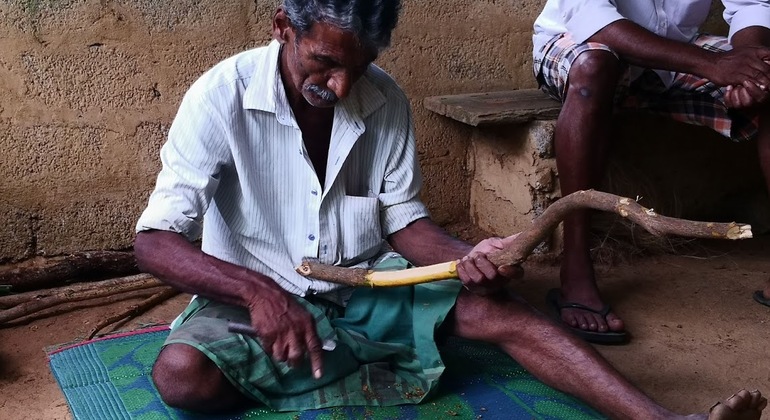 Explorar Bentota Excursão privada a partir de Colombo Sri Lanka — #5