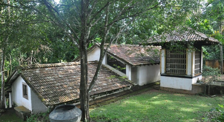 Explorar Bentota Excursão privada a partir de Colombo Sri Lanka — #9