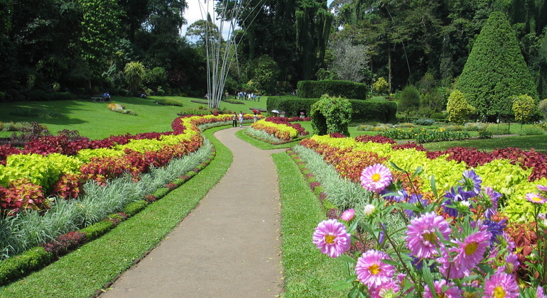 Tour por Lugares de Interés de Kandy desde Kandy Sri Lanka — #3